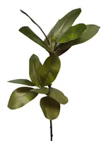 Artificial Magnolia Leaf Spray<br>Green
