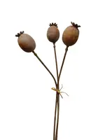Artificial Poppy Seed Bunch x 3<br>Brown
