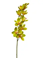 Artificial Dendrobium Orchid<br>Green