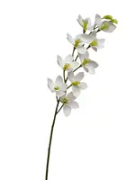 Artificial Dendrobium Orchid<br>White
