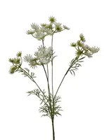 Artificial Queen Annr Lace<br>White