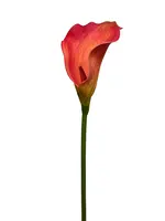 Artificial Calla Lily Stem<br>Coral