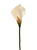 Artificial Calla Lily Stem<br>Champagne