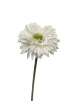 Artificial Gerbera<br>White
