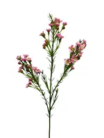 Artificial Wax Flower<br>Dark Pink