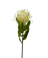 Artificial Pincushion Protea<br>Cream
