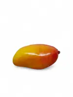 Artificial Mango