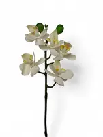 Artificial Mini Phalaenopsis Orchid<br>Cream