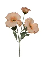 Artificial Buttercup<br>Apricot