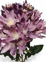 1. Artificial Agapanthus Stem<br>Purple thumbnail