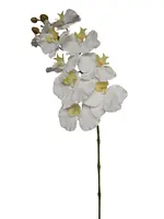 Artificial Ripple Phalaenopsis Orchid<br>White