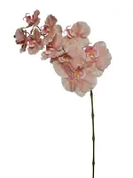 Artificial Ripple Phalaenopsis Orchid<br>Peach thumbnail