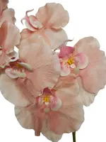 1. Artificial Ripple Phalaenopsis Orchid<br>Peach thumbnail