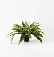 Artificial Boston Fern Plant<br>70cm x 45cm