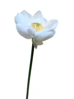 Artificial Lotus Flower<br>White Artificial Lotus Flower<br>White