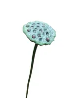 Artificial Lotus Pod<br>Green Burgundy Artificial Lotus Pod<br>Green Burgundy