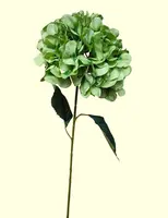 Artificial Hydrangea<br>Green Artificial Hydrangea<br>Green