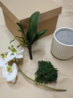 DIY Artificial Phalaenopsis Orchid<br>White DIY Artificial Phalaenopsis Orchid<br>White thumbnail