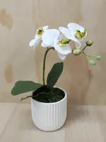 1. DIY Artificial Phalaenopsis Orchid<br>White thumbnail