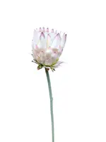 Artificial Protea Stem<br>Pink
