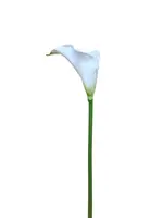 Artificial Calla Lily Stem<br>White - Small