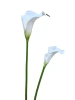 2. Artificial Calla Lily Stem<br>White-Medium thumbnail
