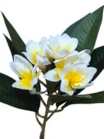 1. Artificial Frangipani Spray<br>Cream/Yellow thumbnail