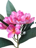 1. Artificial Frangipani Spray<br>Hot Pink thumbnail