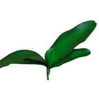 Artificial Phalaenopsis Orchid Leaf<br>Green