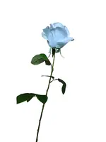 Artificial Velvet Rosebud<br>Light Blue