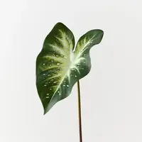 Artificial Calla Lily Leaf<br> Dk Green White