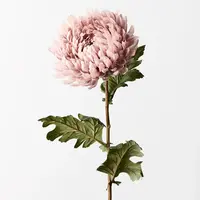 Artificial Chrysanthemum<br>Dusty Pink Artificial Chrysanthemum<br>Dusty Pink